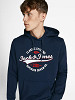 JACK&JONES Vīriešu džemperis, WHLOGO SWEAT HOOD