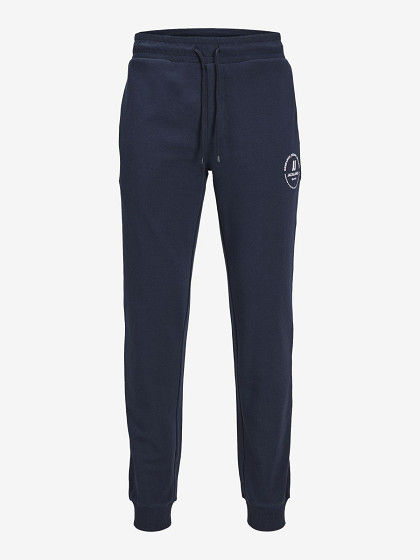 JACK&JONES Vīriešu bikses, JPSTGORDON JJSWIFT SWEAT PANTS