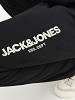 JACK&JONES Vīriešu bikses, JPSTGORDON JJGALE SWEAT PANTS NAF