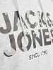 JACK&JONES Vīriešu džemperis ar kapuci, JAMES